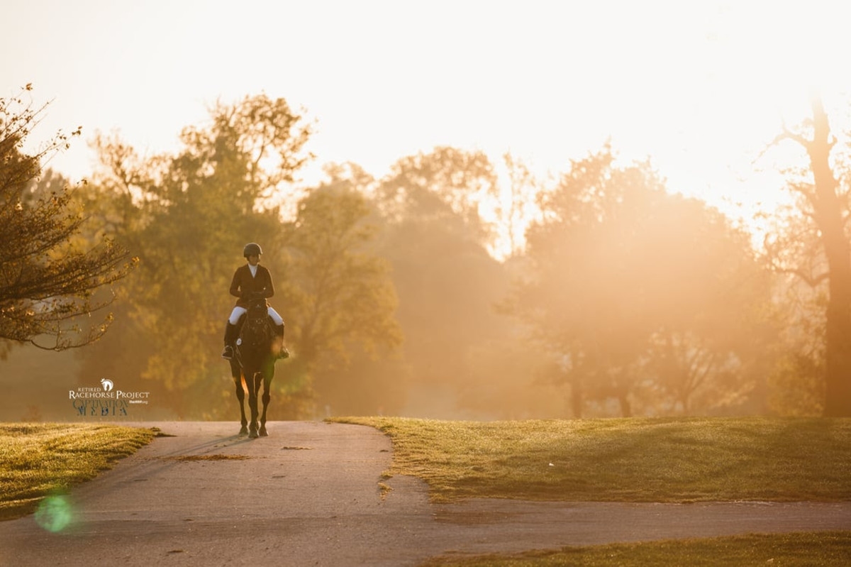 Makeover Champions Returns For 2025 Thoroughbred Makeover
