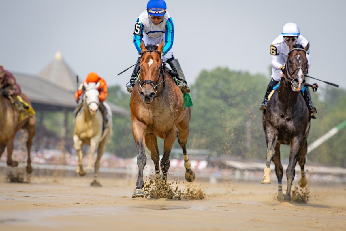Book'em Danno Wins True North With Late Surge