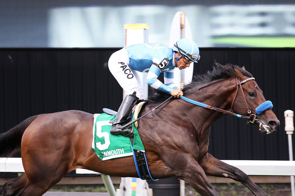 Hey Nay Nay Takes Tyro In Front End Romp