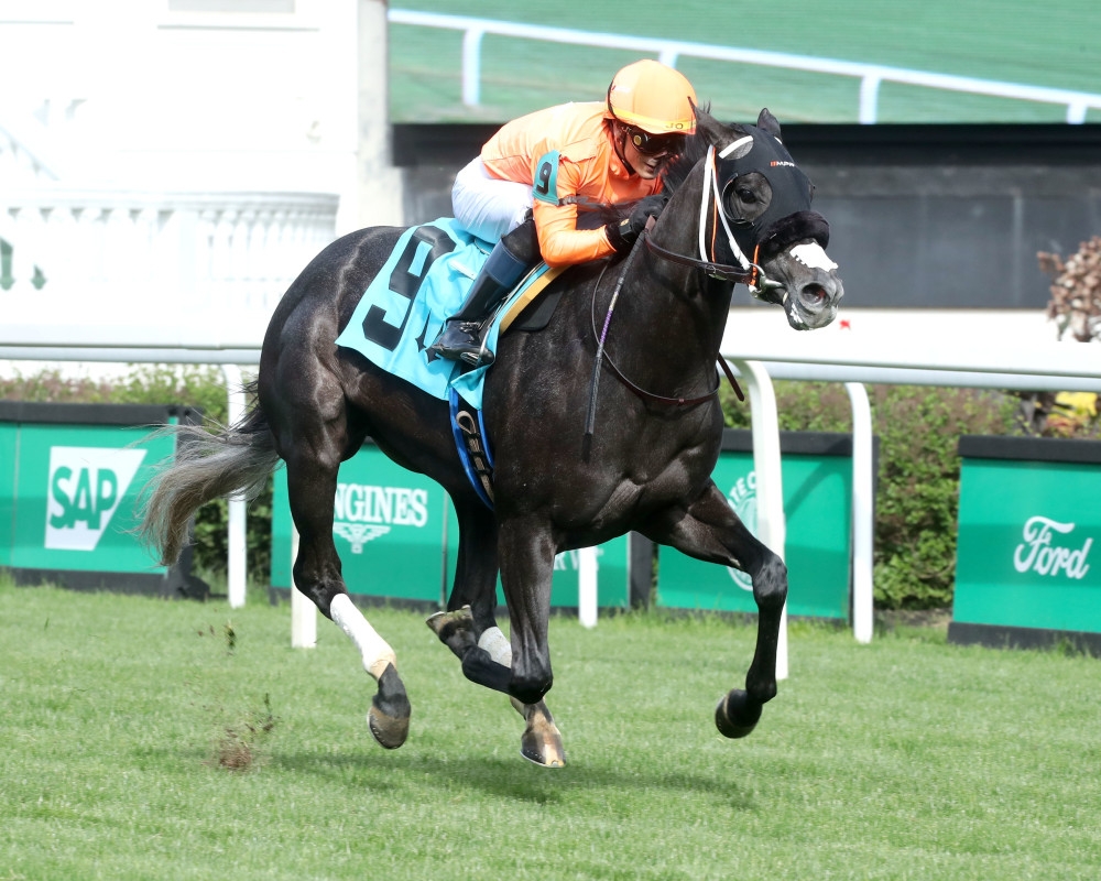 Shisospicy Zips To Mamzelle Victory In Stakes Record Time