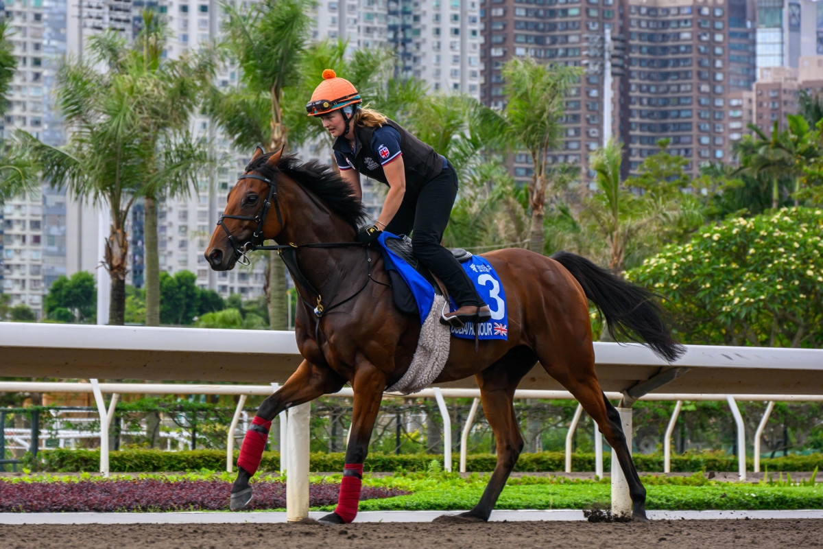 Hong Kong Racing Insights: 2025 Champions & Chater Cup