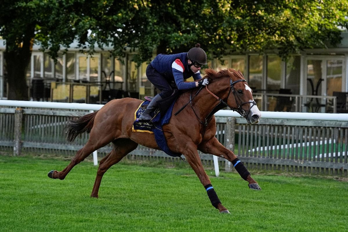 No Cox Plate For Carl Spackler, Now In John And Thady Gosden Barn