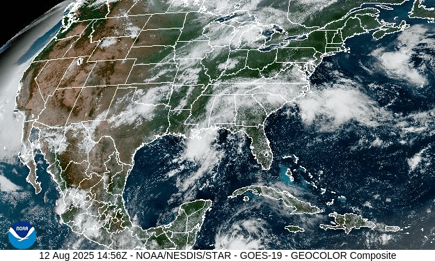 Hurricane Erin could form within the next 5 days. Current predictions on Florida impact