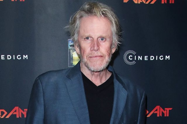 Gary Busey Pleads Guilty to Sex Crimes Charge, Admits 'It Was Not an Accidental Touching'