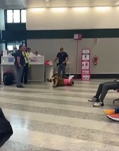 Woman Goes Viral for Epic Airport Meltdown After Being Told Her Luggage Is Too Heavy