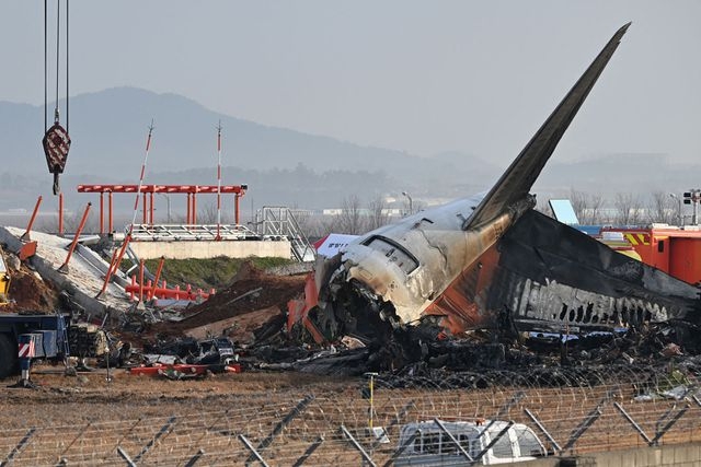 Bird Feathers and Blood Stains Found in Engines of South Korean Plane That Crashed into Wall, Killing 179