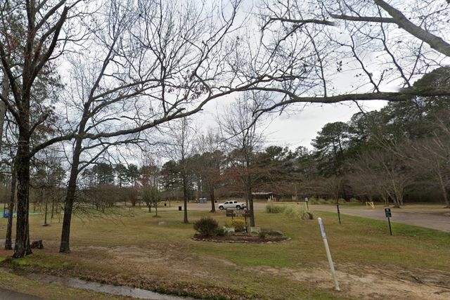 2 Young Brothers Go to Play Near the Woods, Then Get Lost. Authorities Found Them Alive the Next Morning
