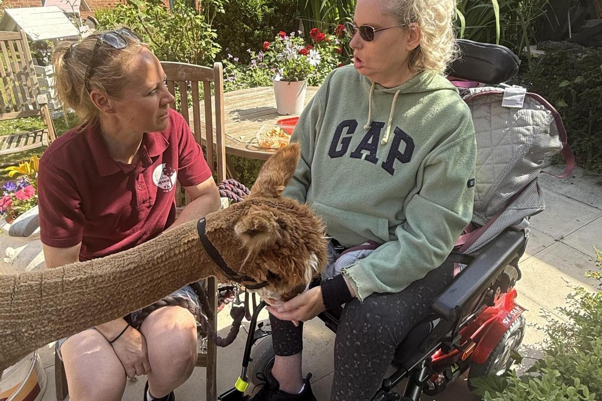 Residents at care home enjoy visit from 'therapeutic' alpacas