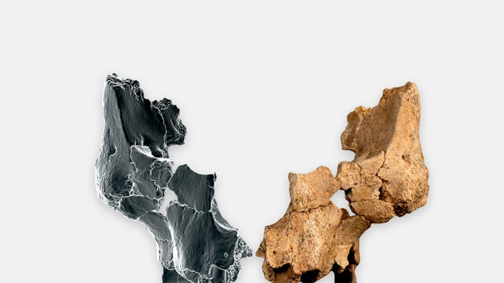 An Archaeologist Found a 1 Million-Year-Old Face