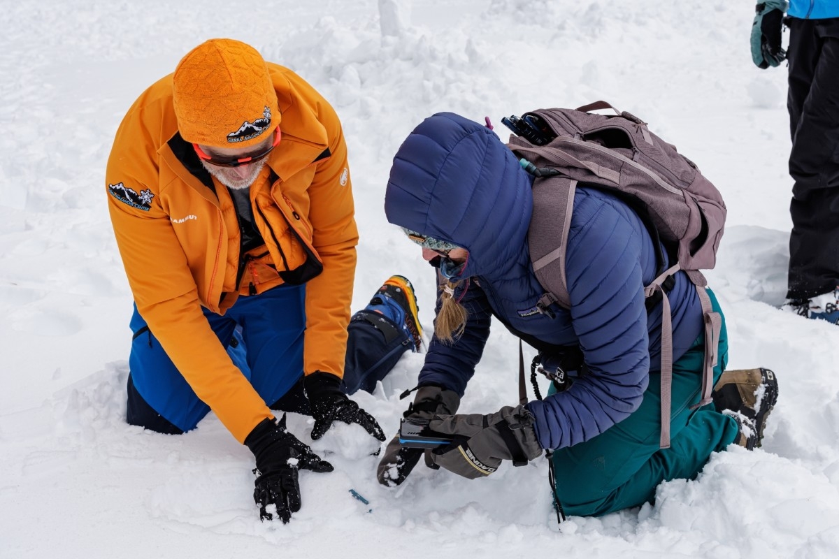 22 People Died In Avalanches This Year—Here's What Happened