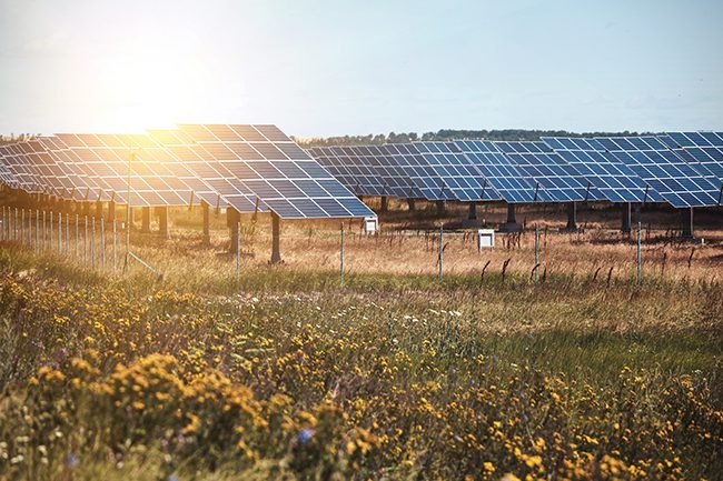 Eye of the Storm: Mitigating Financial Risks of Extreme Weather on Renewable Energy Systems
