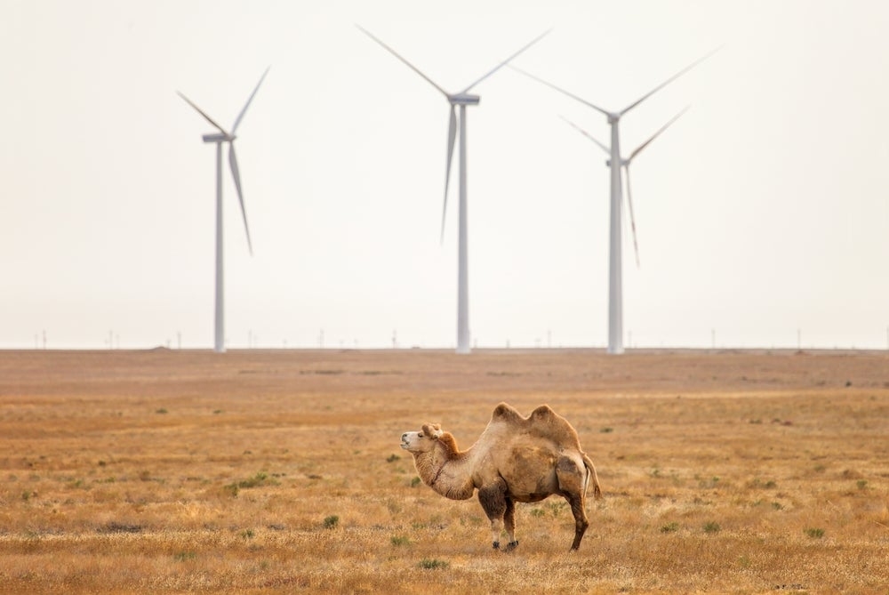 Kazakhstan to boost power capacity to meet rising electricity demand