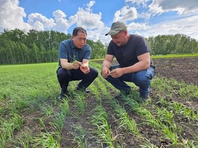 China, Central Asia make continuous efforts to deepen agricultural cooperation