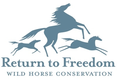 Return to Freedom Applauds Lawmakers' Support of Fertility Control to Better Manage Wild Horses