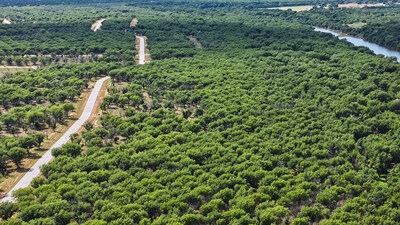 Patten Properties Hosts Exclusive DFW Builder Preview Event at Granbury's Pecan Plantation June 21 for Highly Anticipated Release Amid Record Sales Growth