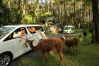 Taman Safari Indonesia Welcomes Korean Travelers with Unlimited Joy Across All Destinations