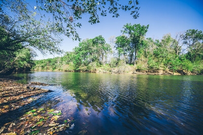 NativState Completes Third High-Quality Carbon Project Verification
