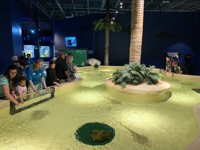 New Exciting Experiences Await Travelers this Summer in Daytona Beach
