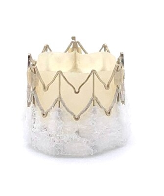 MiRus Siegel™ TAVR: First EFS Cases