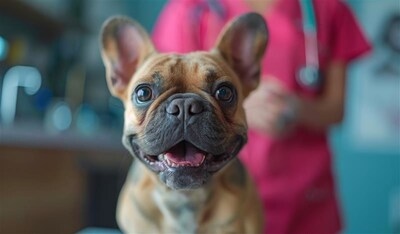 Elanco Receives USDA Approval for TruCan™ Ultra CIV H3N2/H3N8 (Canine Influenza Vaccine) Bringing to Market a High Standard of Respiratory Protection