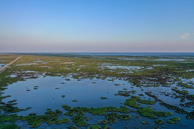 Conservation Equity Management and Ironwood Resource Advisors Announce Historic Approval of First Eastern Black Rail Conservation Bank in U.S.