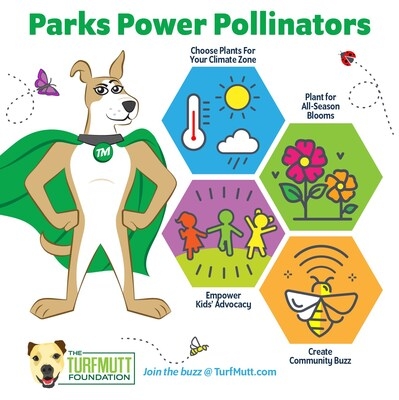 TurfMutt Foundation Advocates for Pollinators, Habitat-Rich Green Spaces