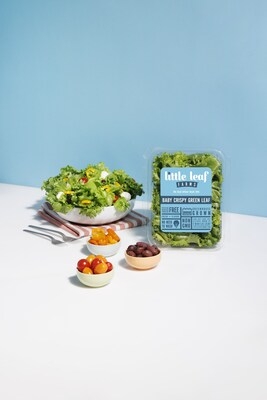 New Survey Reveals Lettuce Letdown: 60% Say Their Greens Spoil Too Soon--But Little Leaf Farms Has a Fresh Fix