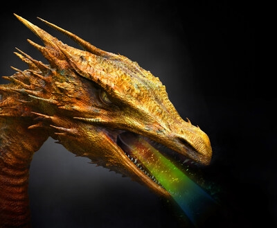 Introducing Borchi® Dragon Low VOC high-performance catalyst