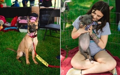 Pet Supplies Plus Hosts "Best Adoption Event Ever" in Rochester Hills to Help Local Pets Find Forever Homes
