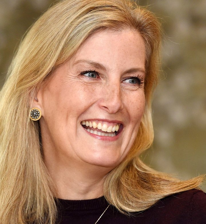 Duchess Sophie Uses Kate Middleton's Go-To Parenting Move in Newly Released Video