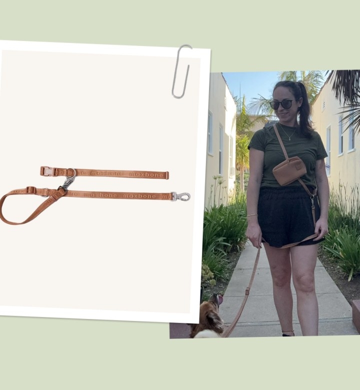 I've Used a Bunch of Different Leashes with My Pup, But This Hands-Free, Lockable One from Maxbone Is *the Best*