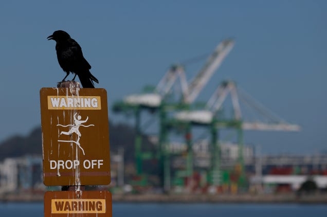America's trade war could mean 7 million fewer jobs across the world, U.N. says