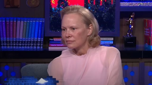 Pamela Anderson Addresses Buzz That Meghan Markle's Show Is a Rip-off of Hers