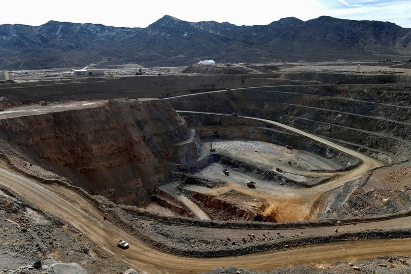 Pentagon to keep working with US rare earths projects, US defense official says