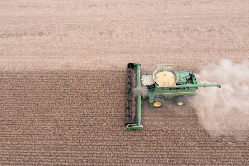US losing out on China soybean sales as Brazil fills key supply period