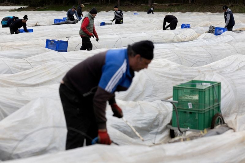 Foreign workers a key driver of euro zone growth, say ECB economists