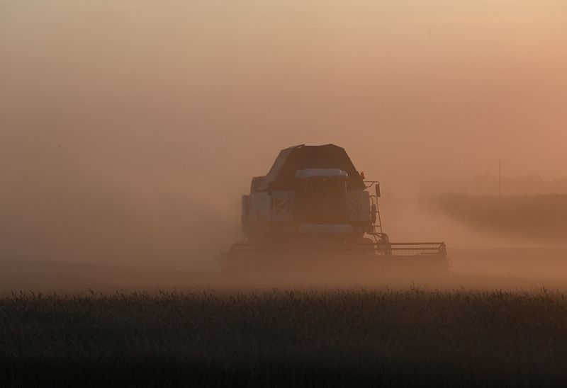 Weather set to hit harvest in Russia's largest grain region