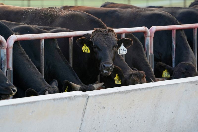 Australia lifts biosecurity restrictions on US beef, AFR reports
