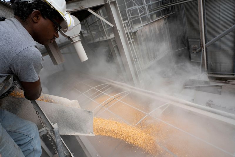 EU tariffs to curb US corn imports, soy at lower risk for now