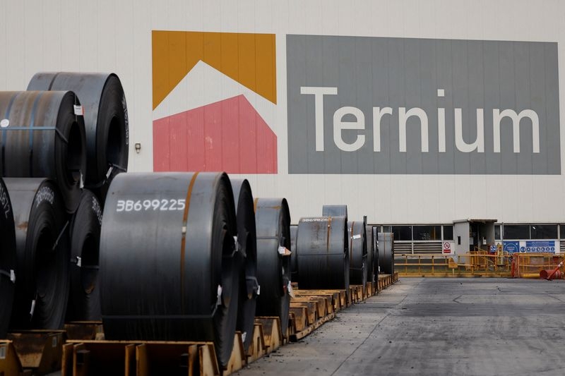 Steelmaker Ternium pushes for stronger USMCA trade pact in face of tariffs