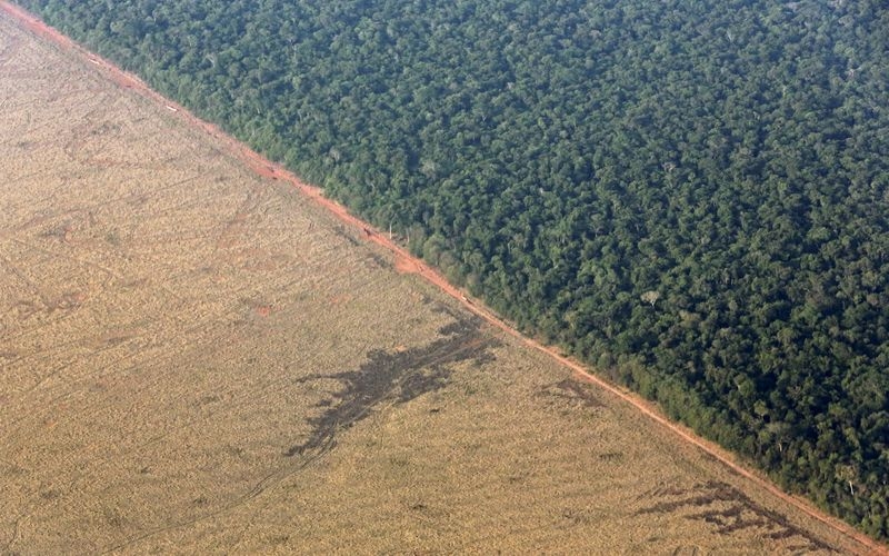 Brazil's government aims to raise $2 billion in financing with new Eco Invest auction