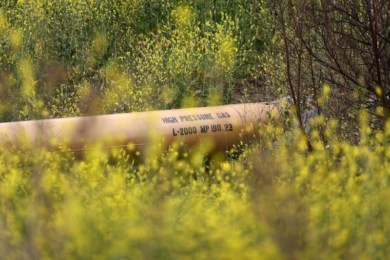 Analysis-US pipeline firms wrestle buy/build conundrum as Trump pushes energy expansion