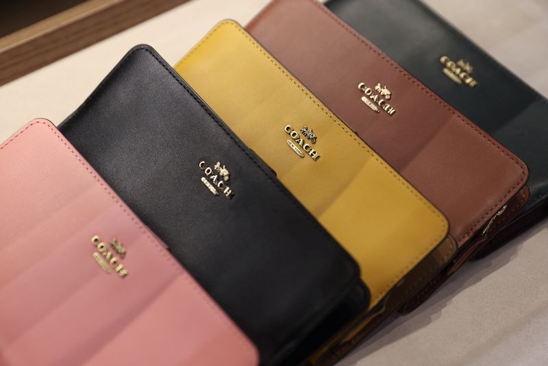 Coach owner Tapestry raises annual sales forecast