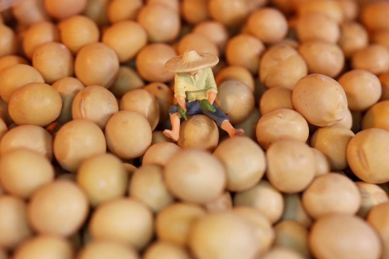 China's April soybean imports hit decade-low as customs delays disrupt trade