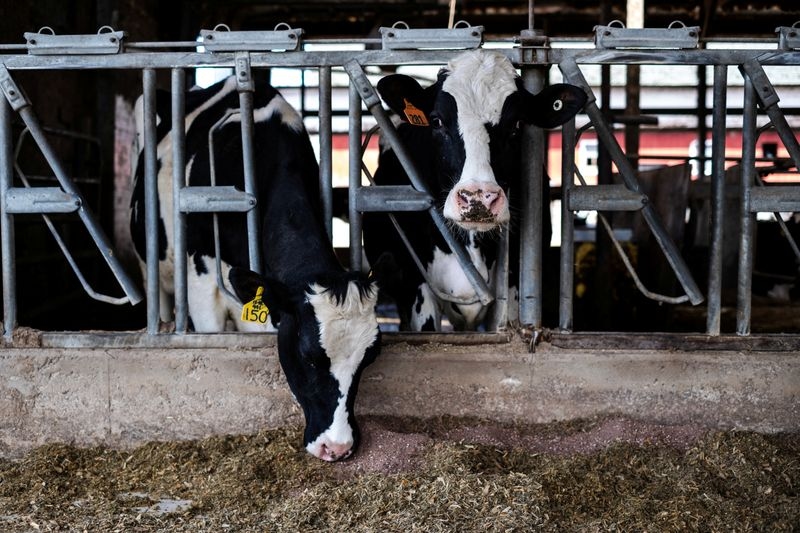 US AgTech capital drought continues, dairy and solar sectors offer bright spots