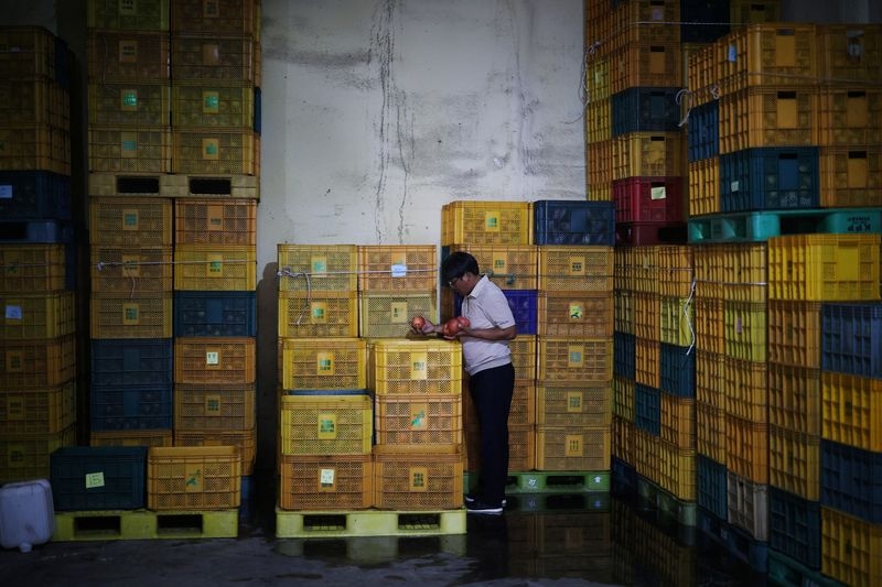 In South Korea's 'apple county', farmers beg not to be sacrificed for US trade deal