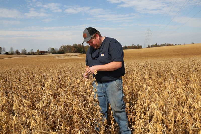 US farmers say Brazil still has edge in China's soybean market despite trade truce