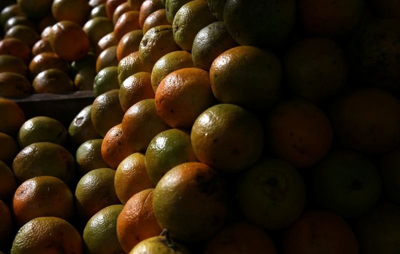 Brazil orange juice byproducts will suffer from Trump tariffs