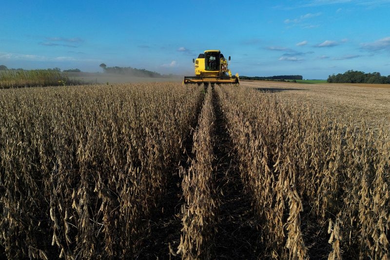 Brazilian researcher who helped country's grain boom wins World Food Prize