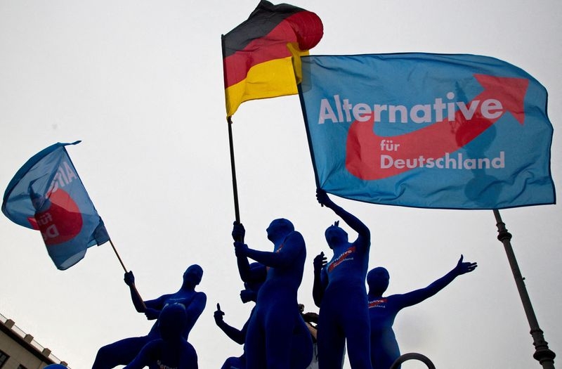 Shifting targets, growing support: The rise of Germany's AfD